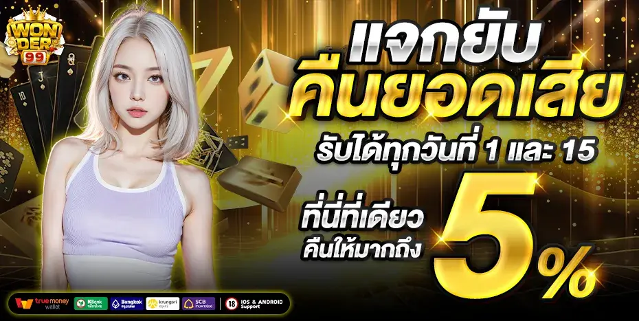 30-19_37_27-WONDER99-930x467-คืนยอดเสีย